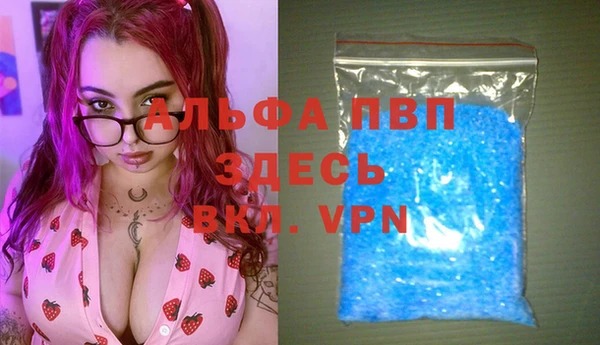 эйфоретик Алзамай