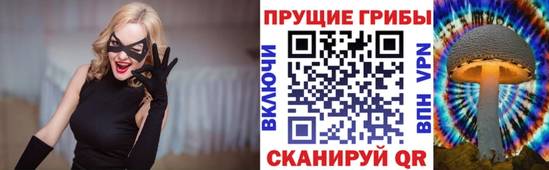 Галлюциногенные грибы MAGIC MUSHROOMS  наркотики  Далматово 